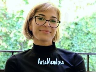 AriaMendosa