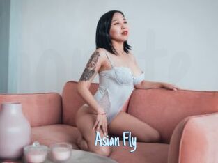 Asian_Fly