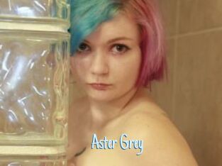 Aster_Grey