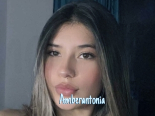 Amberantonia