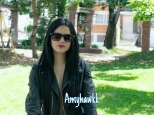 Amyhawkk