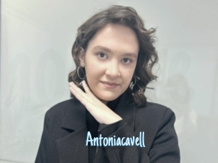 Antoniacavell