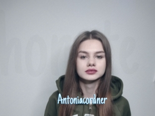 Antoniacordner