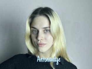 Antoniaedge