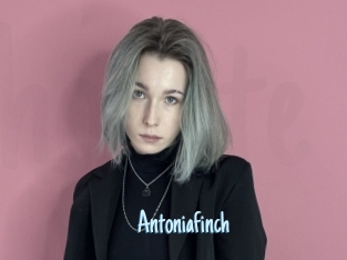 Antoniafinch