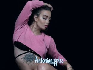 Antonianipples