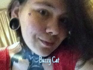 Buzzy_Cat