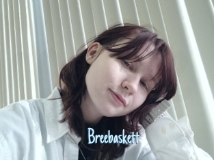 Breebaskett