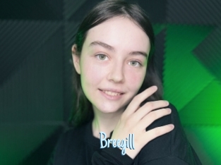 Breegill