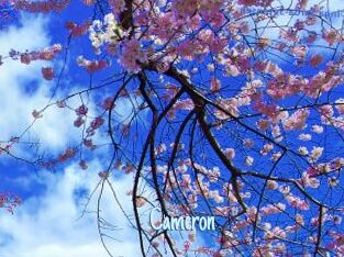Cameron Hot Naked Teens