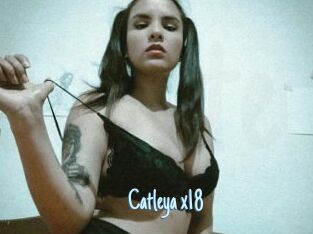 Catleya_x18