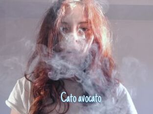 Cato_avocato