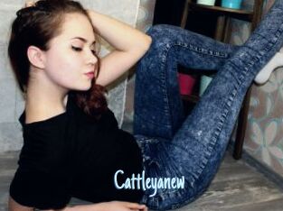 Cattleyanew