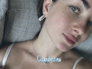 Cclandestina