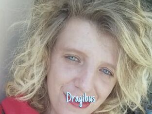 Dragibus