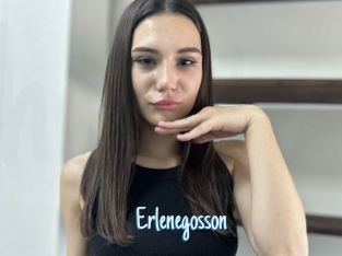 Erlenegosson