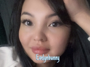 Evelynbunny