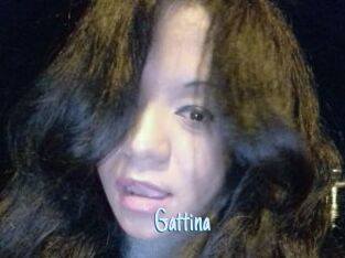 Gattina