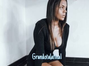 Grandotalatina1