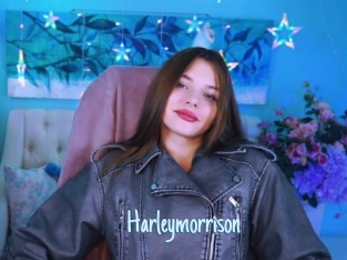 Harleymorrison