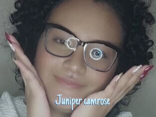 Juniper_camrose