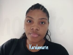 Karalamarin