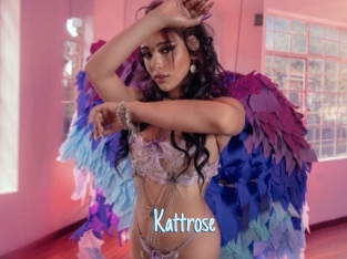 Kattrose