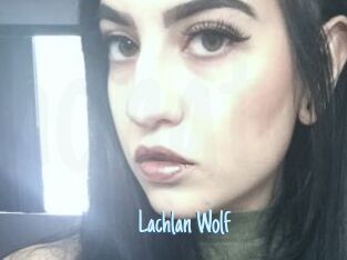 Lachlan_Wolf