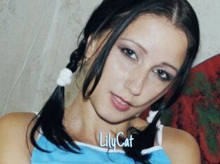 Lily_Cat_