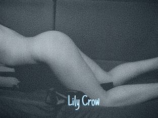 Lily_Crow