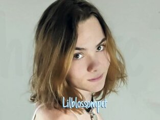 Lilblossompet