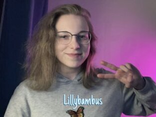 Lillybambus