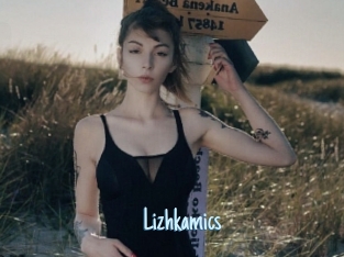 Lizhkamics