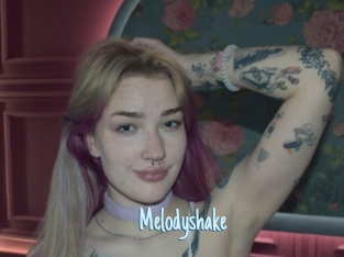 Melodyshake