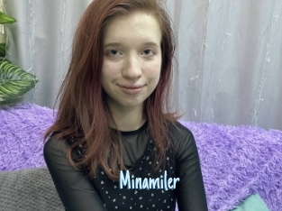 Minamiler