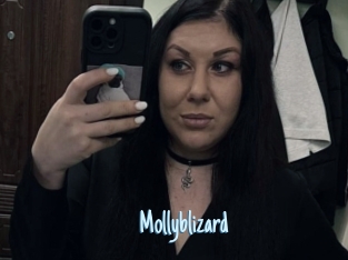 Mollyblizard