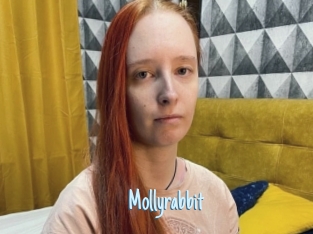 Mollyrabbit