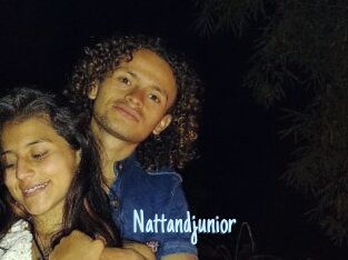 Nattandjunior