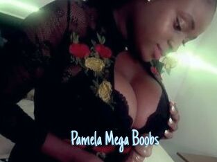 Pamela_Mega_Boobs