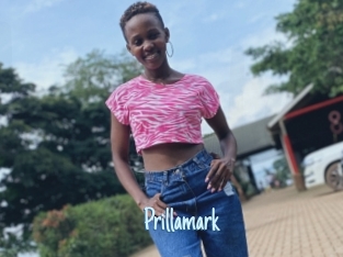 Prillamark