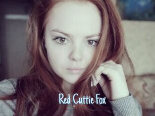 Red_Cuttie_Fox