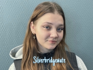 Silverbridgewate