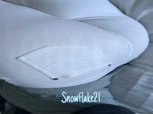 Snowflake21