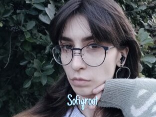 Sofigroot