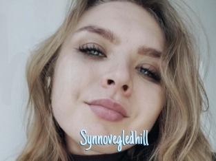 Synnovegledhill