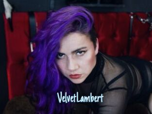 VelvetLambert