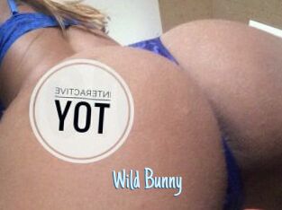 Wild_Bunny_