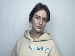 Whitneyfigge