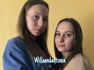 Willaandantonia