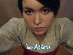 YourWildKittyX